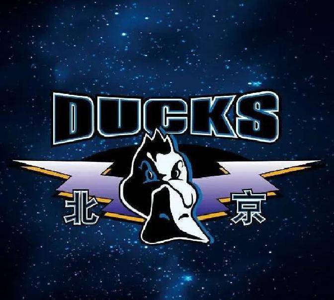 包含荷甲赛程吃紧；新疆广汇清晨刷新队史纪录；悬念犹存；阵容厚度经受考验的词条南宫28